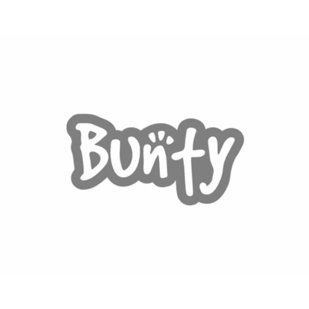 Bunty Foldable Raised Dog Bed