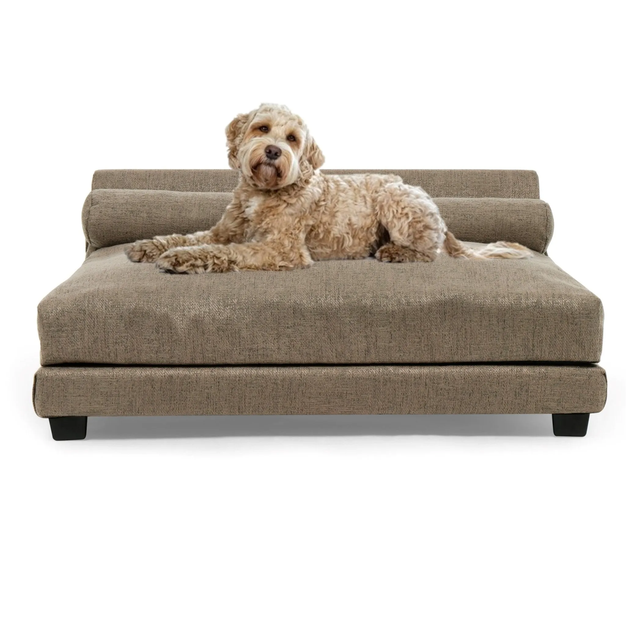 Club Nine Pets Roma Orthopedic Dog Bed in Earth