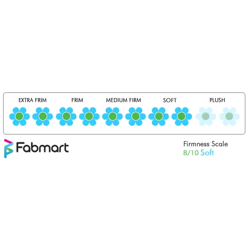 Coirfit Visco Elastic Biolife Mattress