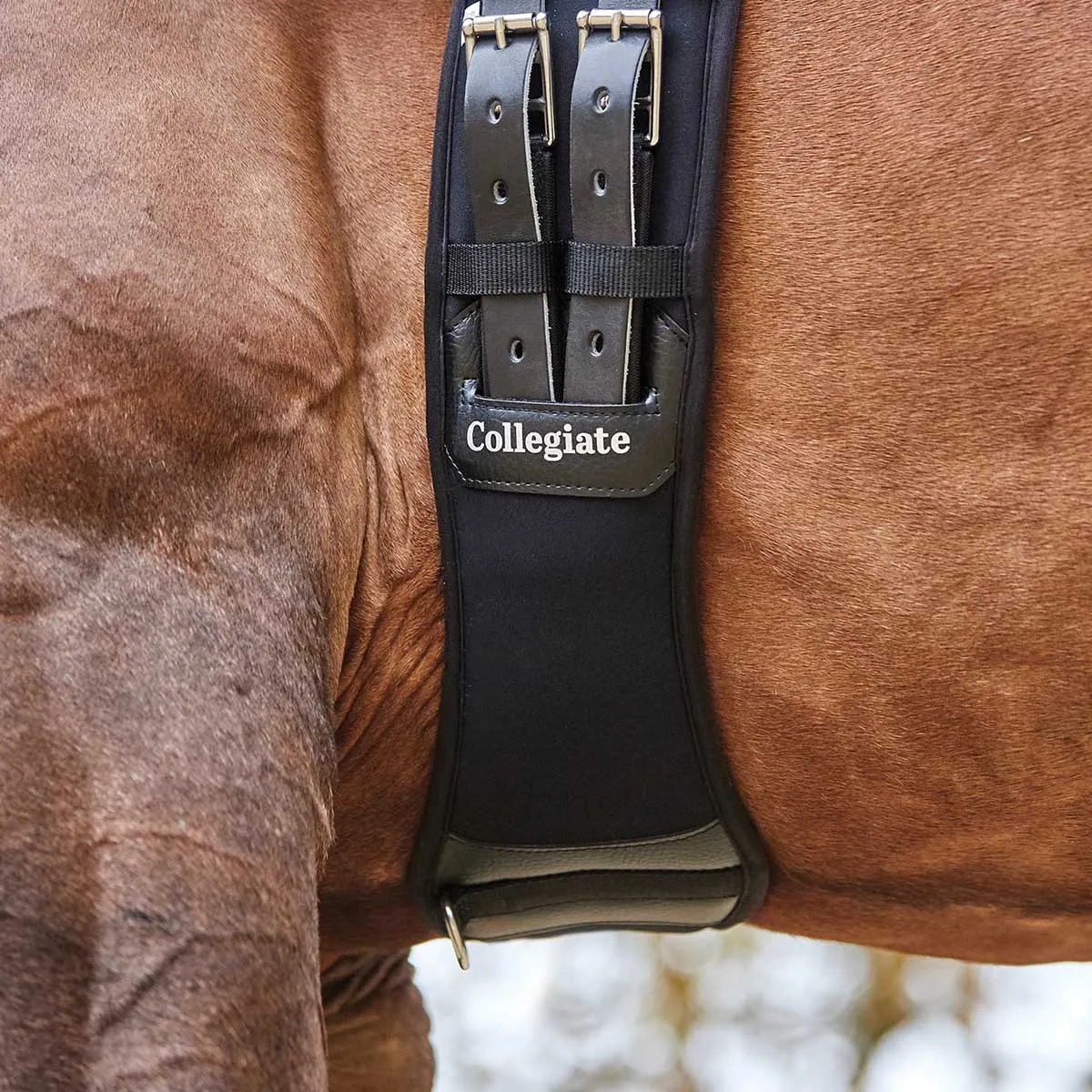 Collegiate Memory Foam Dressage Girth, Black